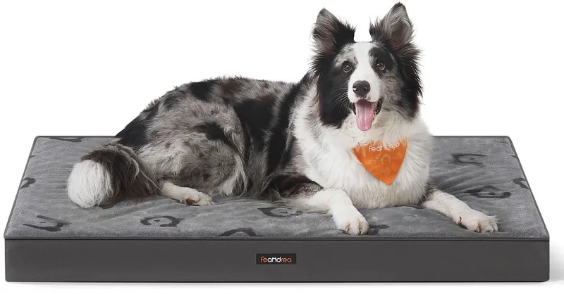 Hondenmand - Wasbaar en Afneembaar Kussen - Waterdicht - Voor Middelgrote en Grote Honden by Feandrea in Duifgrijs – product photo