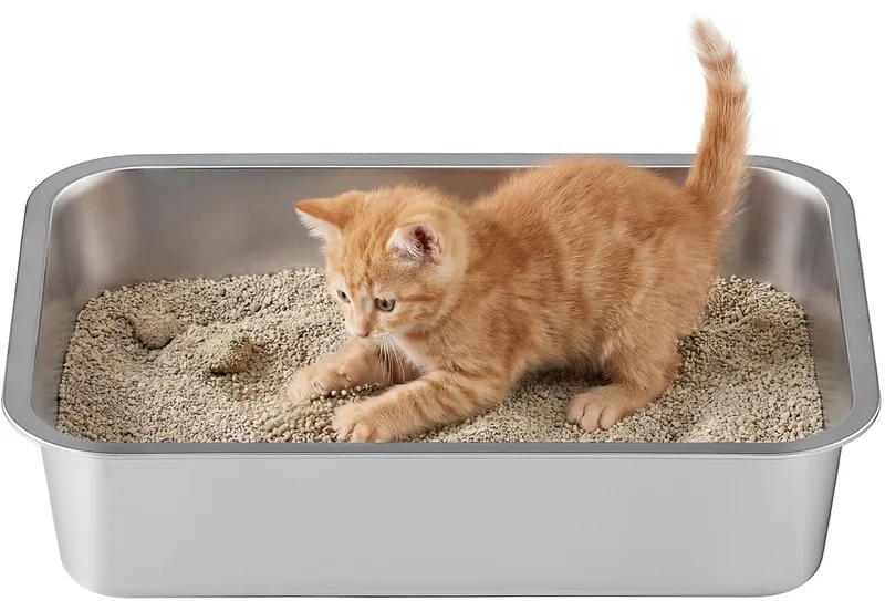 Kattenbak - Kattenbak van Roestvrij Staal - Met Schepje - Open Ontwerp voor Kleine Katten by Feandrea in Silver – product photo