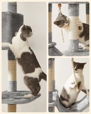Kattentoren 164cm - Grote, Stabiele Krabpaal met Hangmat & Mand de Feandrea en Gris – photo produit 3 sur 5