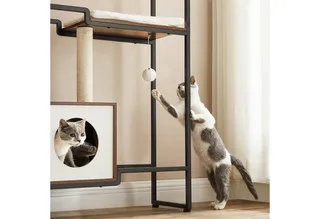 Krabpaal - Kattenboom - Voor Katten - Met Ligplateau - Stabiel Ontwerp by Feandrea in Brown – product photo 2 of 5