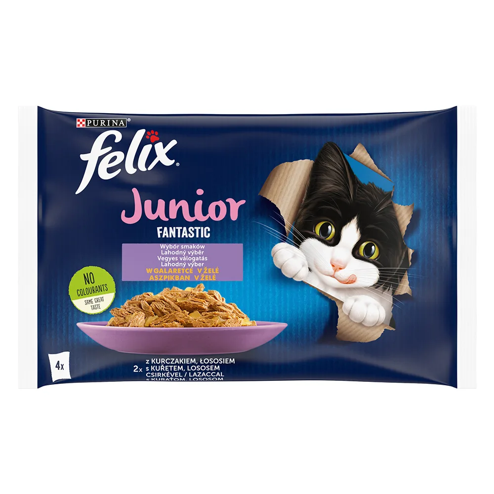 4x 85g Zalm & Kip Felix Fantastic Junior Zuigjes Kattenvoer Nat van Felix – productfoto