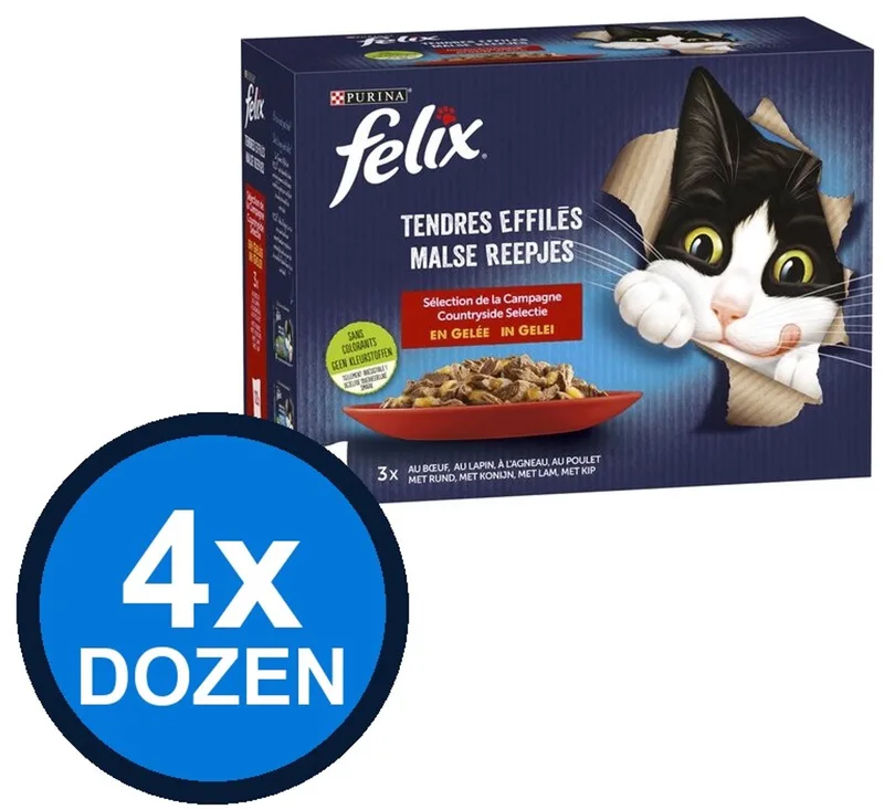 4x Felix - Elke Dag Feest Countryside Selectie in Gelei - Kattenvoer Natvoer - 12x85g de Felix – photo produit