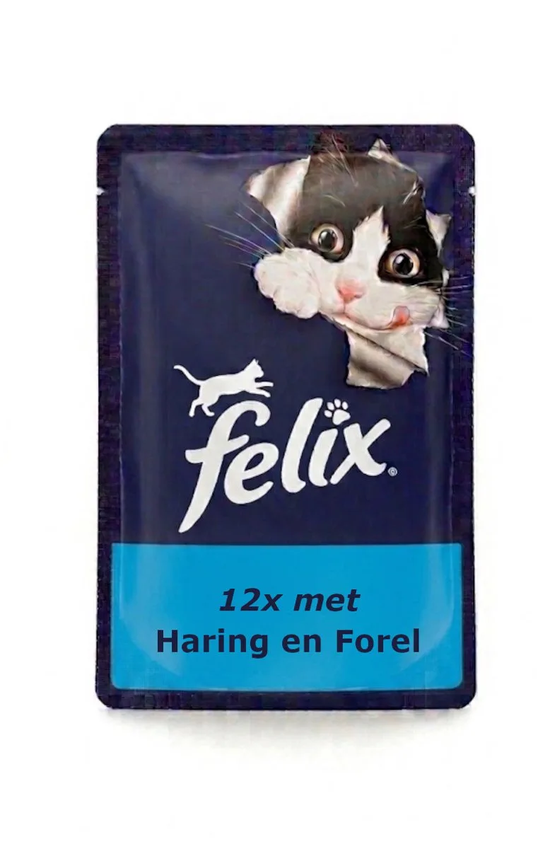 Dubbel Zo Lekker Haring en Forel in Gelei - Monopack - 12x85g från Felix – produktbild