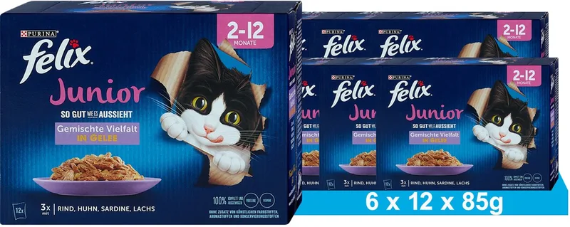 Zo lekker als het eruit ziet Junior natvoer voor katten (6 x 12 x 85g) by Felix – product photo