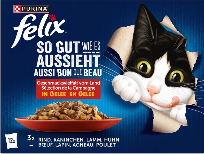 Zo lekker als het eruitziet nat kattenvoer in gelei, assortiment, verpakking van 12 stuks (1 x 12 x 85g) by Felix – product photo