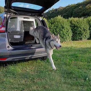 Caisse De Transport Pour Animaux Atlas 70 Professional by Ferplast – product photo 5 of 6