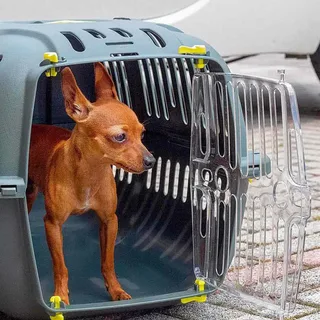 Caisse De Transport Pour Animaux Jet 20 by Ferplast – product photo 6 of 6