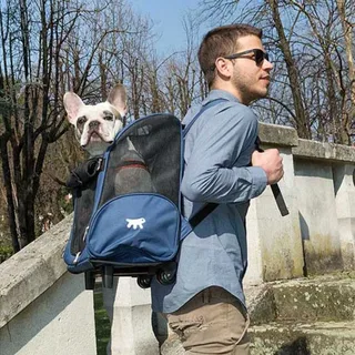 Caisse De Transport Pour Animaux Trolley Assorti de Ferplast – photo produit 4 sur 4