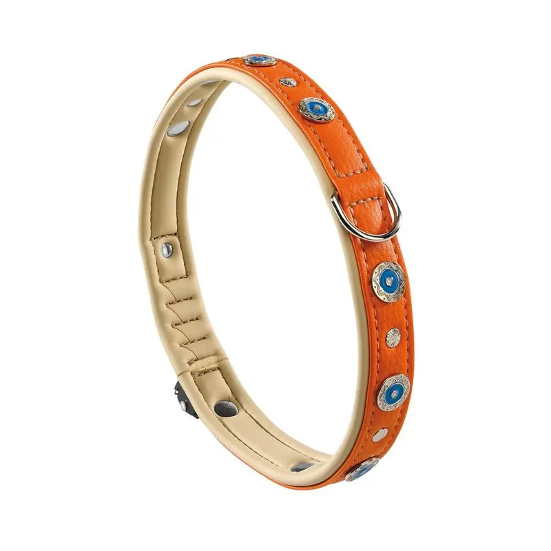 Circus 20 Mm 39 Cm Hondenhalsband de Ferplast – photo produit