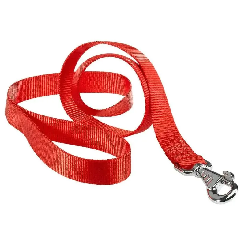 Club 10 Mm Hondenriem by Ferplast – product photo