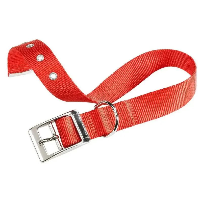 Club 20 Mm Hondenhalsband by Ferplast – product photo