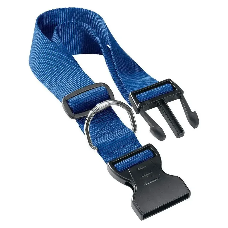 Club 25 Mm Hondenhalsband de Ferplast – photo produit