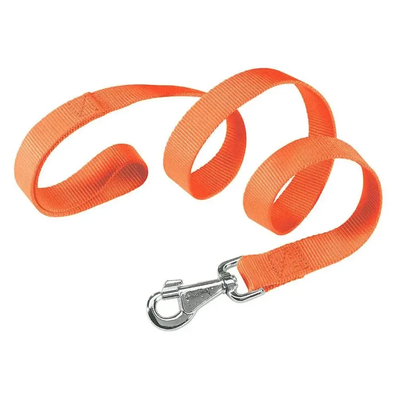 Club G15 120 Cm Nylon Hondenriem by Ferplast – product photo