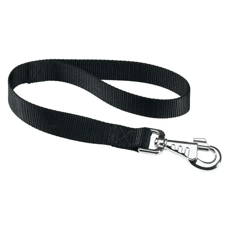 Club Gm25 45 Cm Nylon Hondenriem by Ferplast – product photo