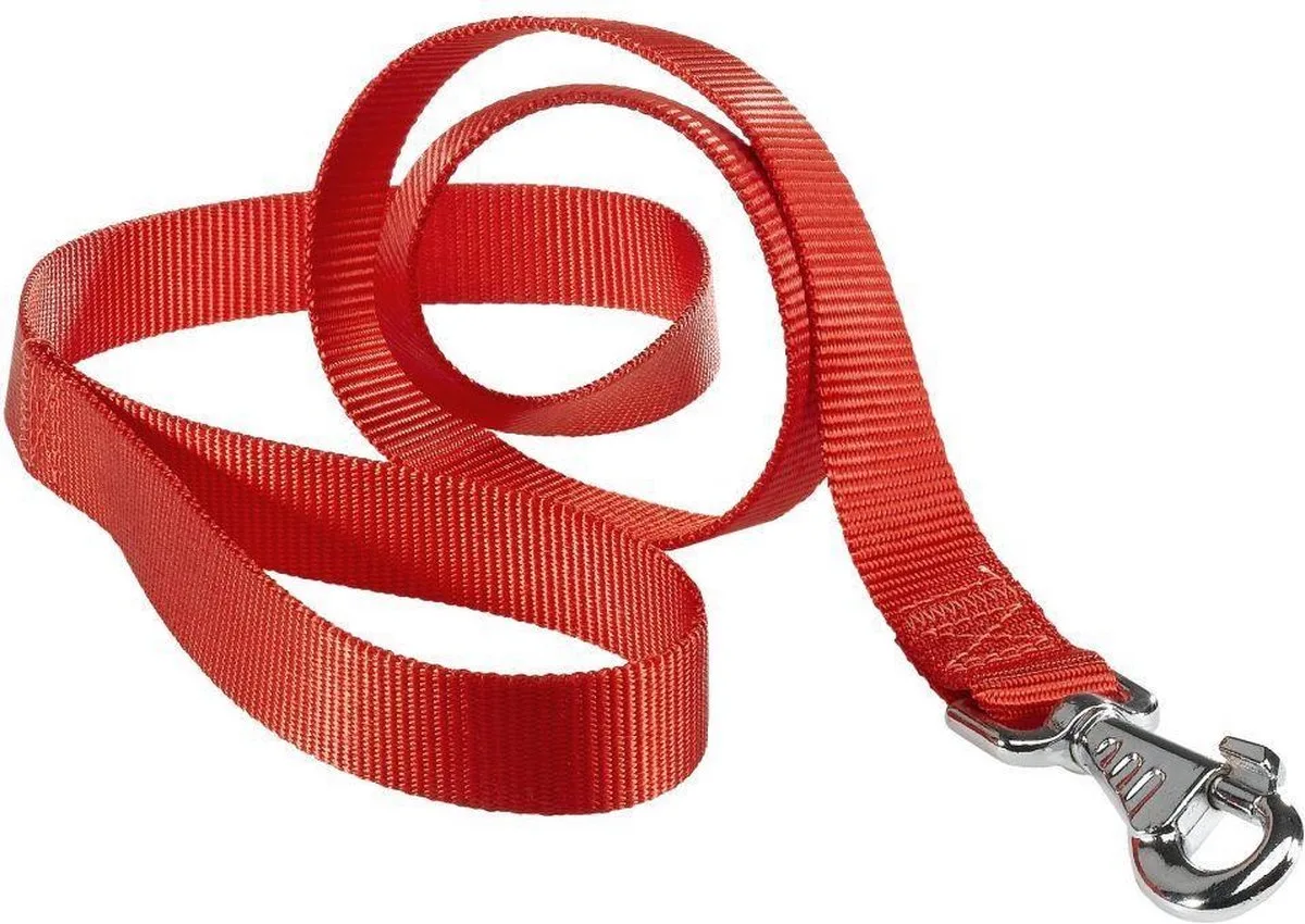 Club Hondenlijn - Nylon - Breedte: 2,5 cm - Lengte: 120 cm - Geschikt voor grote hondenrassen van Ferplast in Rood – productfoto