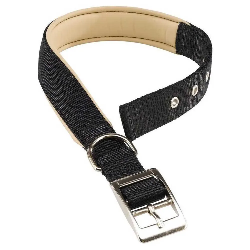 Collier De Chien Daytona C40/69 van Ferplast – productfoto