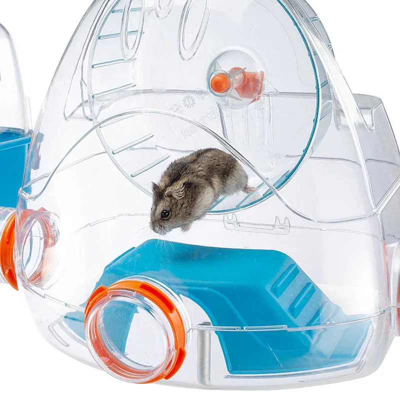 Combi 2 Hamsterkooi - 79,5 x 29,5 x 26,3 cm by Ferplast in Blue – product photo 4 of 6