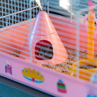 Criceti 9 Princess Hamsterkooi von Ferplast – Produktfoto 6 von 6
