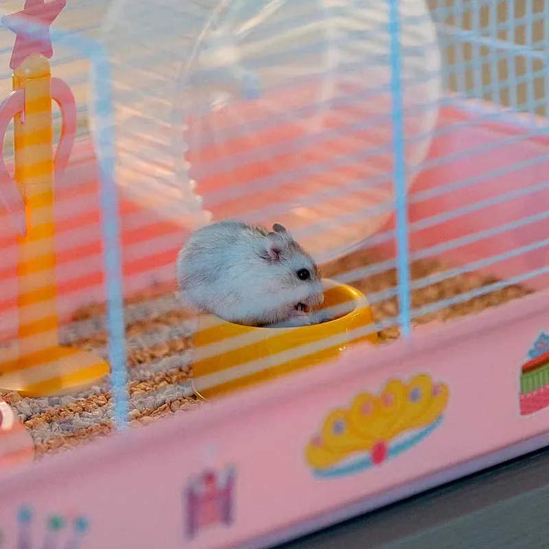 Criceti 9 Princess Hamsterkooi von Ferplast – Produktfoto 5 von 6