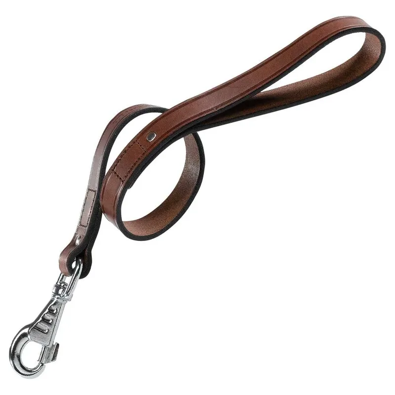 Cuero Toro Vip Gm Hondenriem de Ferplast – photo produit