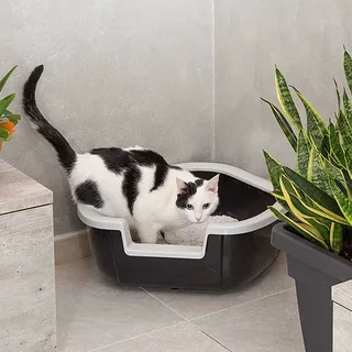 Dama Kattenbak Geassorteerd 57.5x51.5x22 Cm von Ferplast – Produktfoto 4 von 4