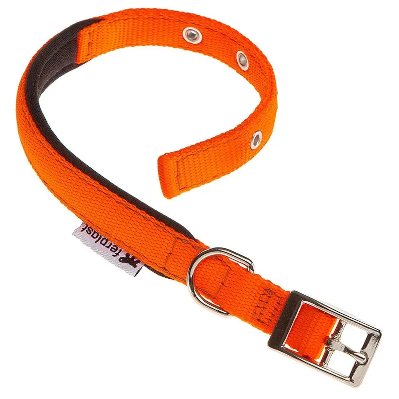 Daytona 20 Mm 43 Cm Hondenhalsband by Ferplast – product photo