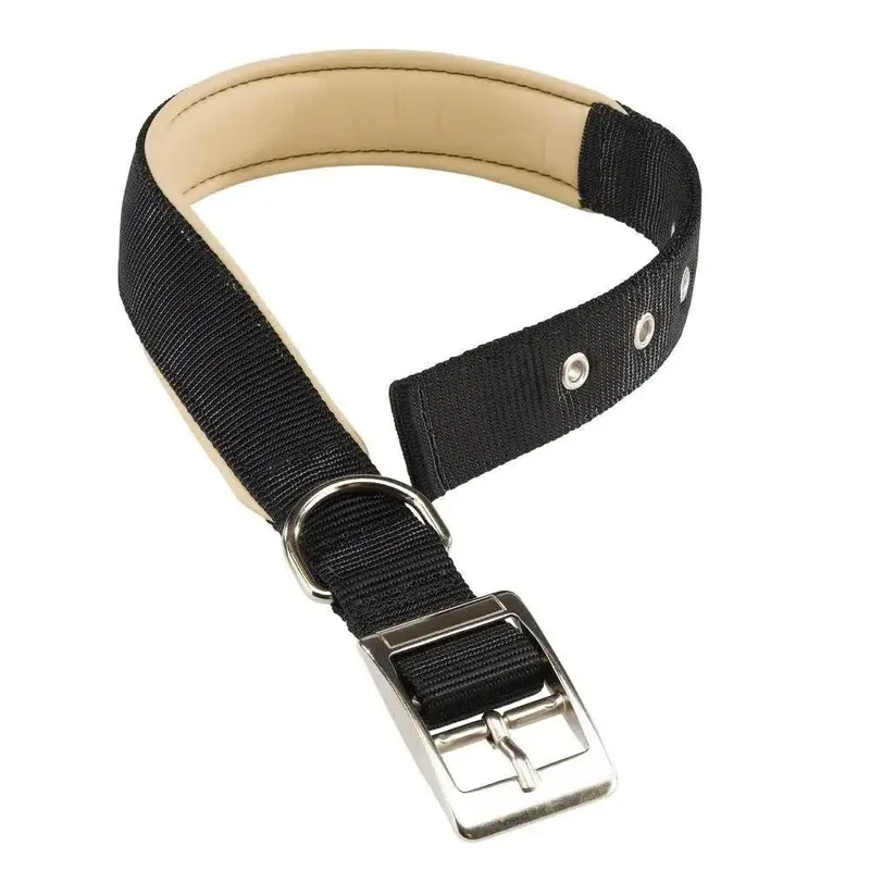 Daytona 25 Mm 37-45 Cm Hondenhalsband de Ferplast – photo produit
