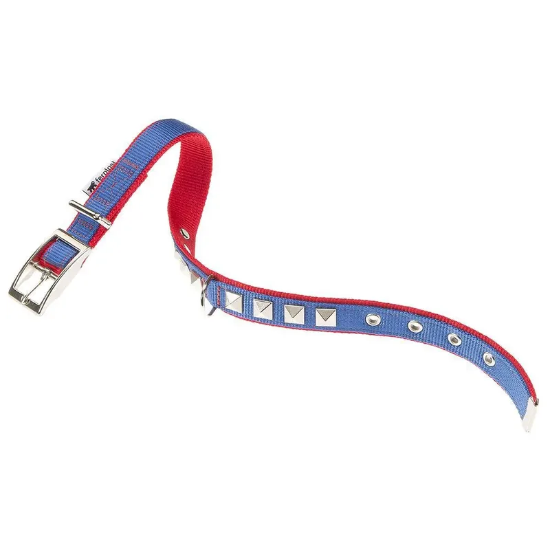 Dual 15 Mm 35 Cm Hondenhalsband de Ferplast – photo produit