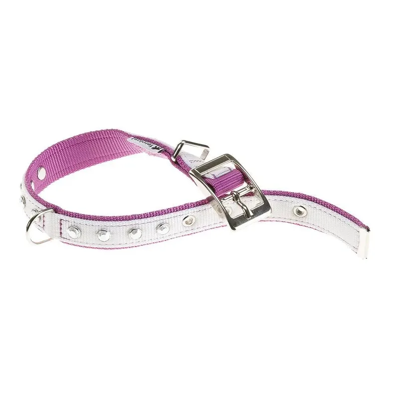 Dual 20 Mm 43 Cm Hondenhalsband by Ferplast – product photo