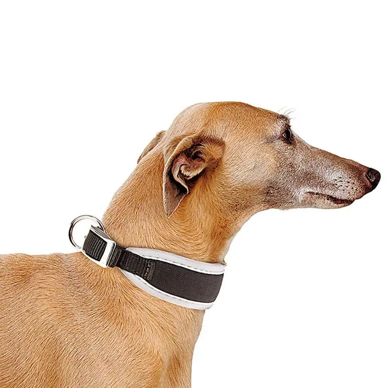 Ergocomfort 25 Mm 46 Cm Hondenhalsband de Ferplast – photo produit 3 sur 3