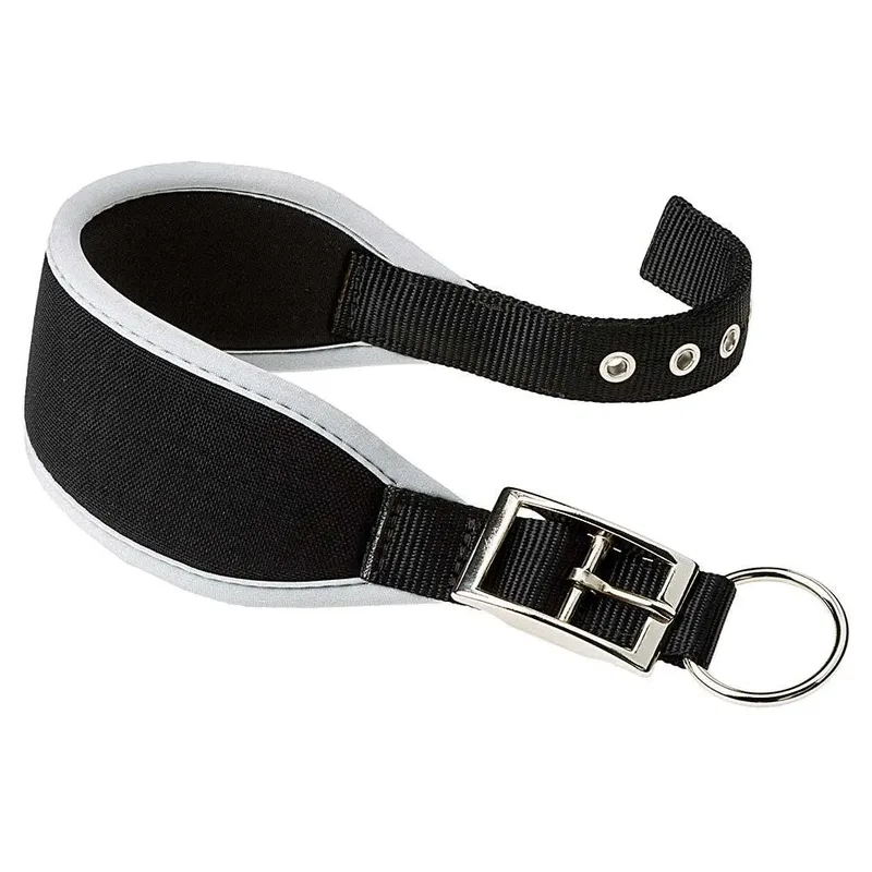 Ergocomfort 25 Mm 46 Cm Hondenhalsband de Ferplast – photo produit 1 sur 3