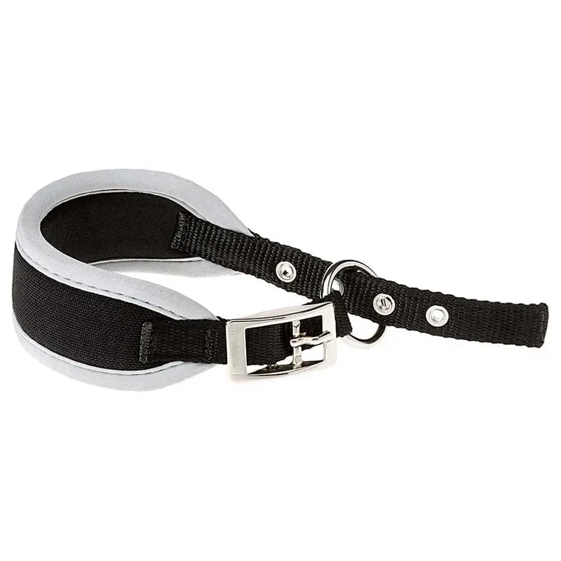 Ergocomfort 25 Mm 46 Cm Hondenhalsband de Ferplast – photo produit 2 sur 3