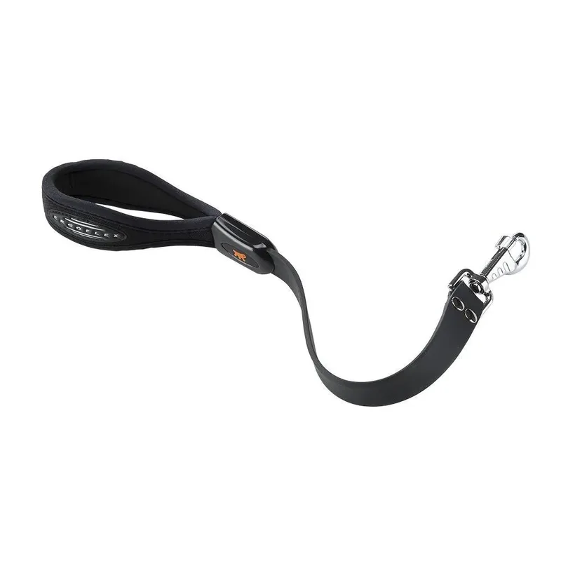Ergoflex Gm 25 Mm 55 Cm Hondenriem de Ferplast – photo produit