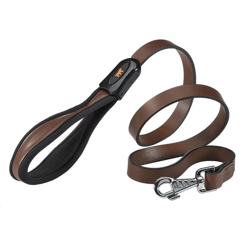 Giotto 20 Mm 120 Cm Hondenriem by Ferplast – product photo