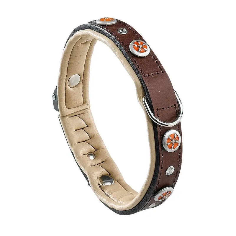 Giotto 25 Mm 44 Cm Hondenhalsband de Ferplast – photo produit