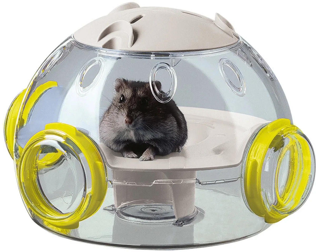 Hamster Woonruimte Lab - Dierenverblijf - 22.5x20.7x14.3 cm von Ferplast in Transparent – Produktfoto
