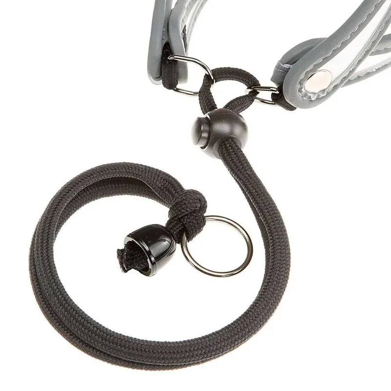 Harnais Pour Chien Agila 1 by Ferplast – product photo 2 of 4
