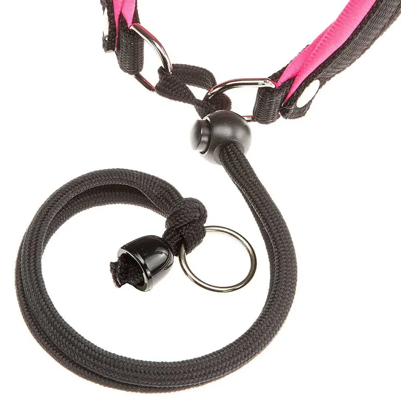 Harnais Pour Chien Agila Fluo 1 de Ferplast – photo produit 2 sur 3