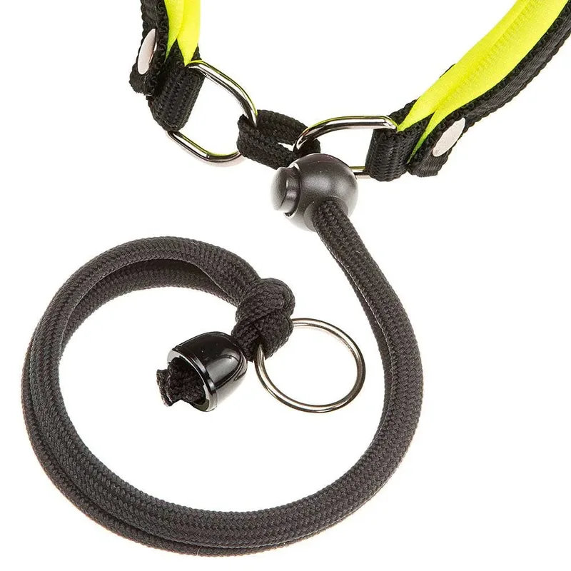 Harnais Pour Chien Agila Fluo 1 by Ferplast – product photo 2 of 3