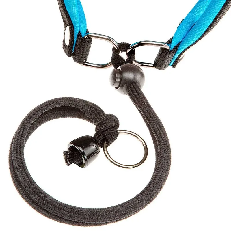 Harnais Pour Chien Agila Fluo 2 von Ferplast – Produktfoto 2 von 3