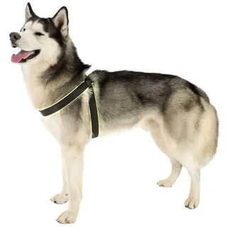 Harnais Pour Chien Agila Fluo 4 by Ferplast – product photo 3 of 3