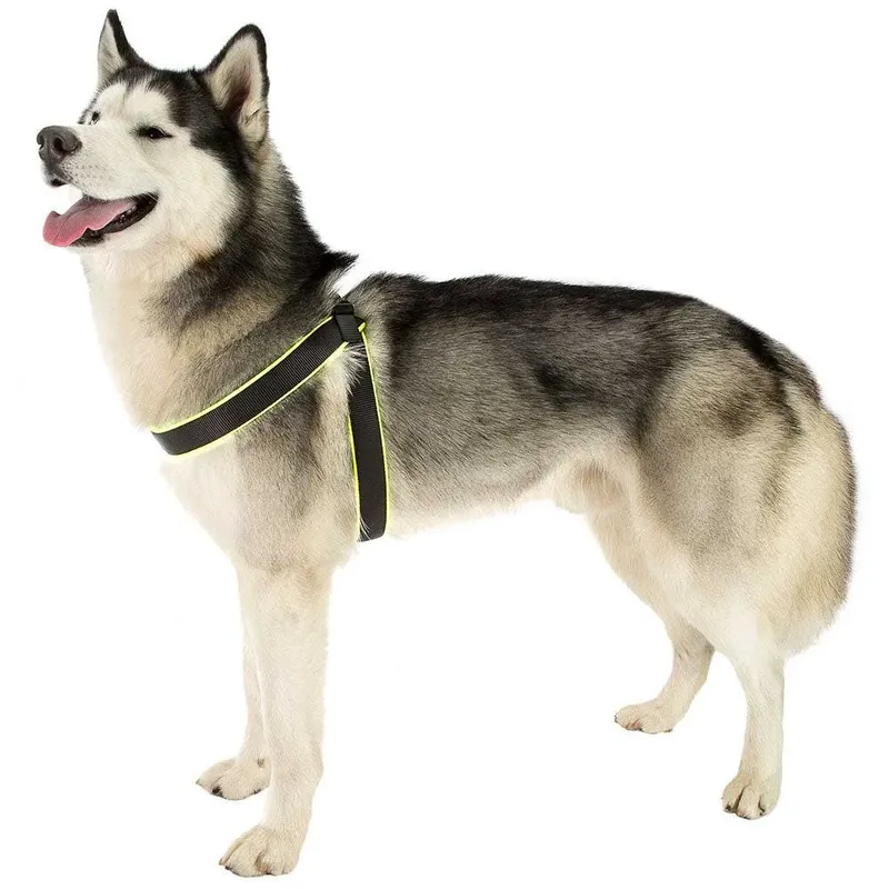 Harnais Pour Chien Agila Fluo 4 by Ferplast – product photo 3 of 3