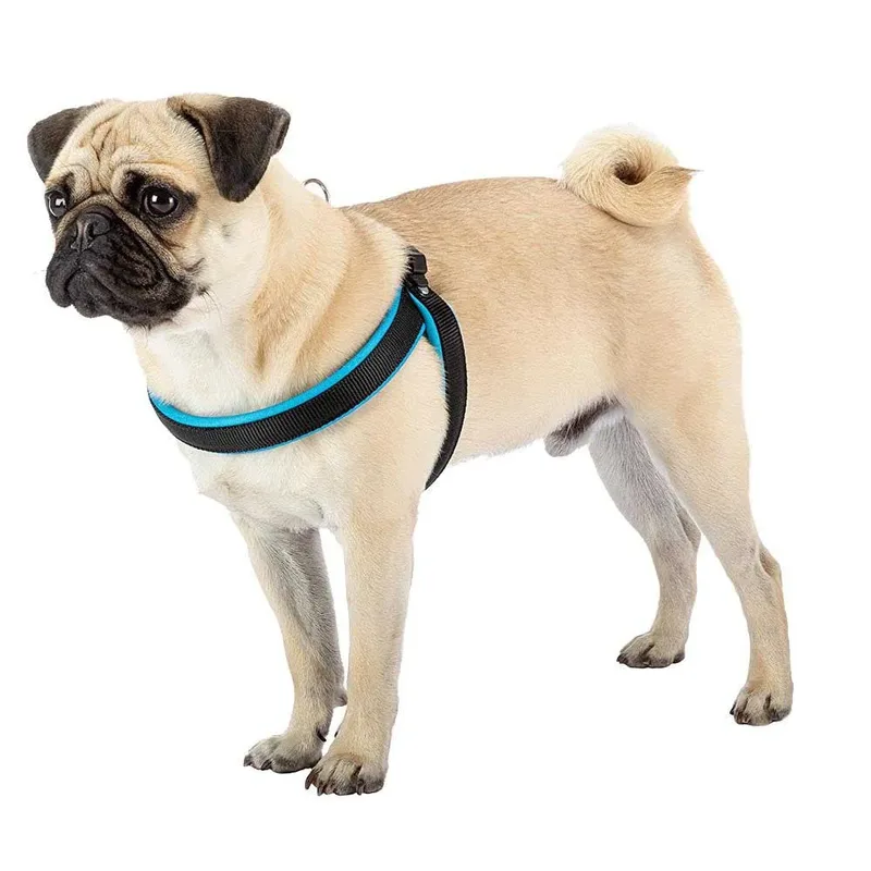 Harnais Pour Chien Agila Fluo 4 von Ferplast – Produktfoto 5 von 5