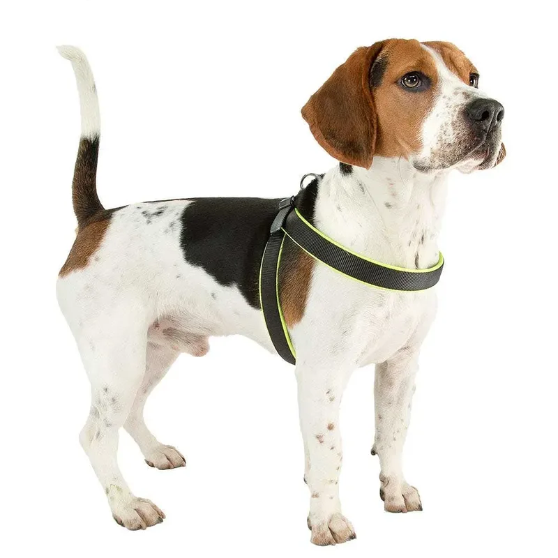 Harnais Pour Chien Agila Fluo 6 by Ferplast – product photo 4 of 4
