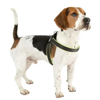 Harnais Pour Chien Agila Fluo 8 de Ferplast – photo produit 4 sur 4
