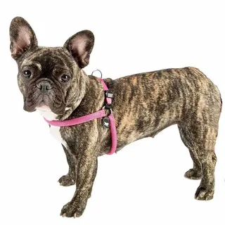 Harnais Pour Chien Agila Sport 6 by Ferplast – product photo 4 of 4