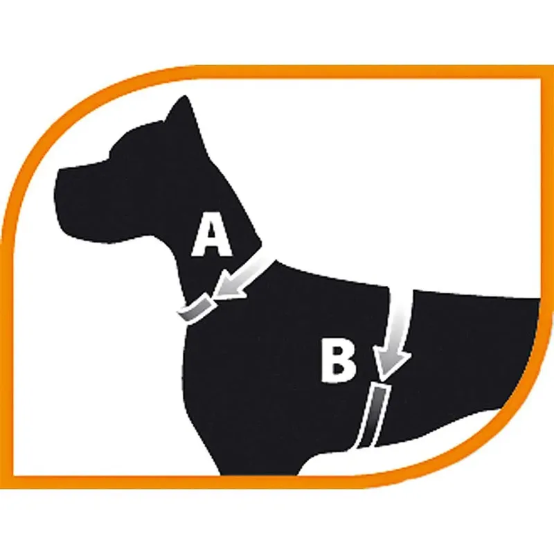 Harnais Pour Chien Champion by Ferplast – product photo 2 of 2