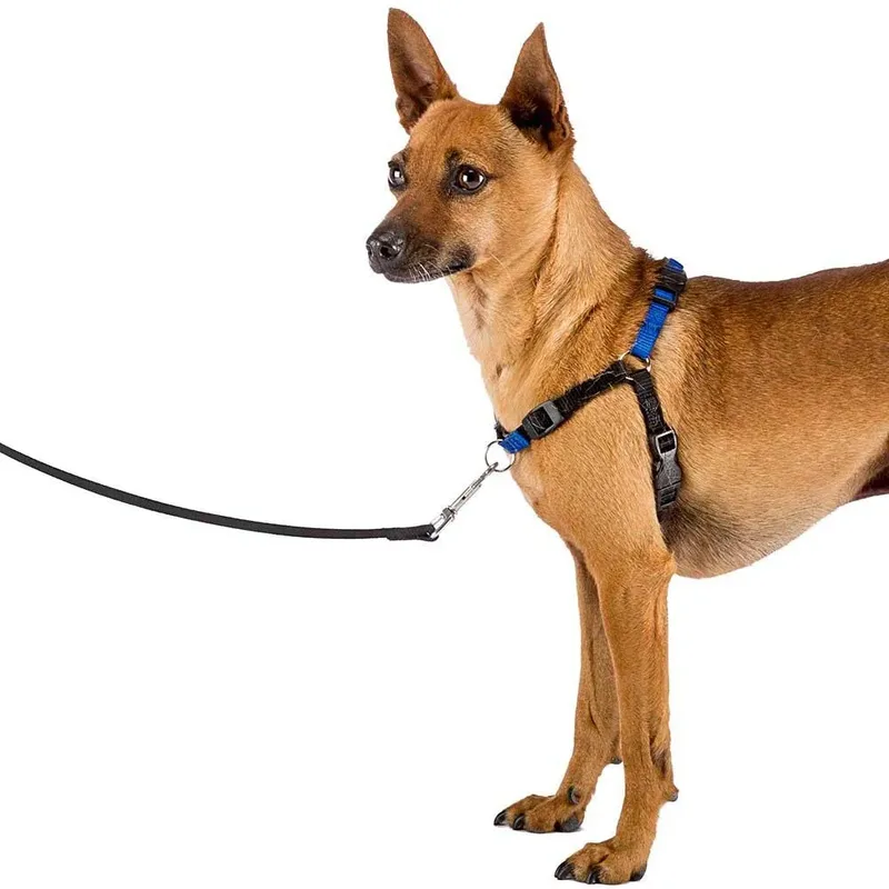 Harnais Pour Chien Coach P by Ferplast – product photo 3 of 4