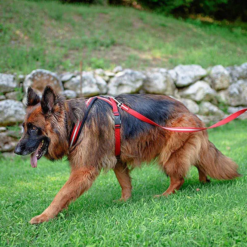 Harnais Pour Chien Daytona Cross L de Ferplast – photo produit 4 sur 6
