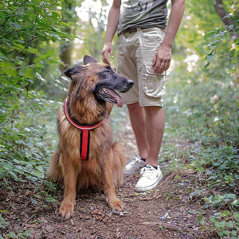 Harnais Pour Chien Daytona Cross L de Ferplast – photo produit 3 sur 6